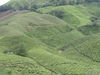 M_033.JPG